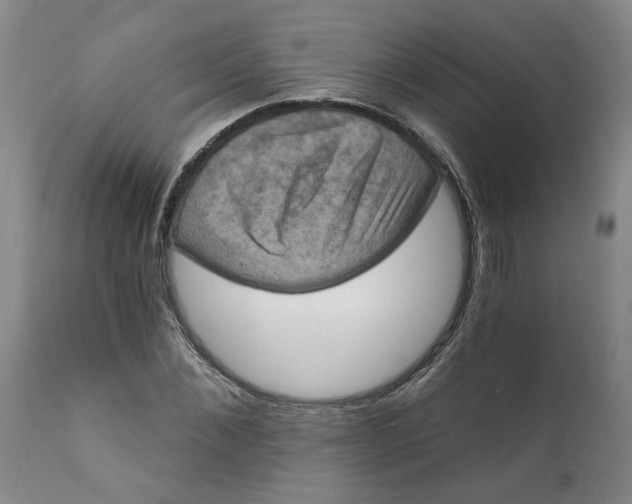 X0000112030876200908241536