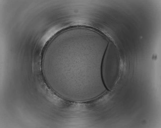 X0000112030877200908241536