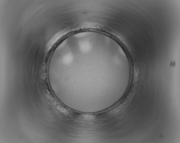 X0000112030878200908241536