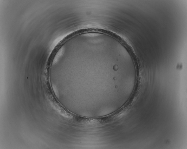 X0000112030879200908241536