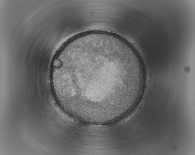 X0000112030880200908241536