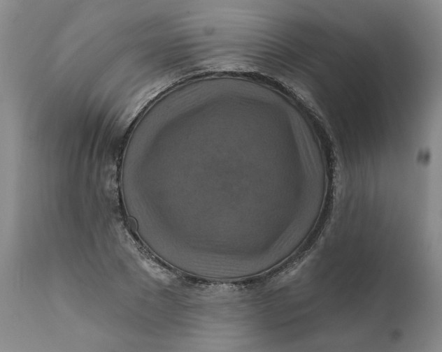 X0000112030881200908241536