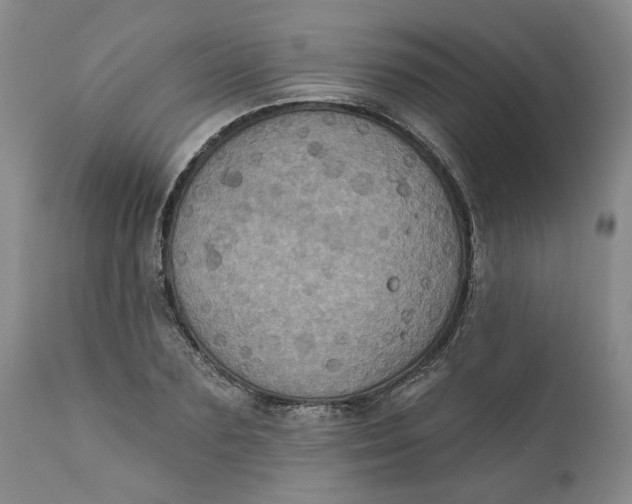 X0000112030883200908241536