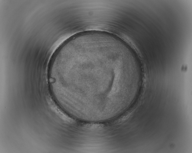 X0000112030884200908241536