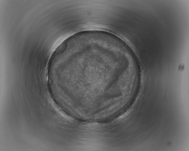 X0000112030885200908241536