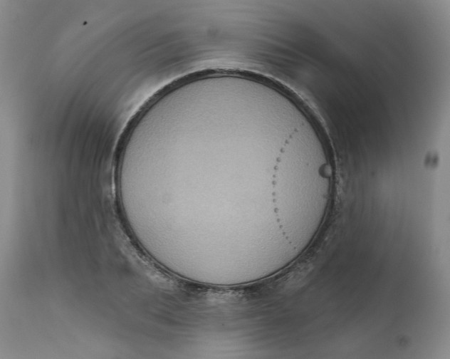 X0000112030887200908241536