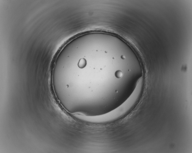 X0000112030888200908241536