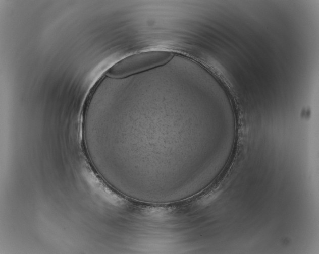 X0000112030892200908241536