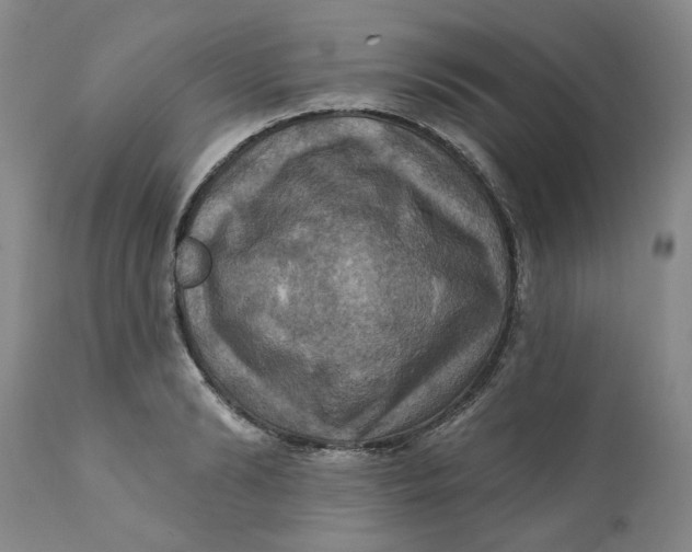 X0000112030894200908241536