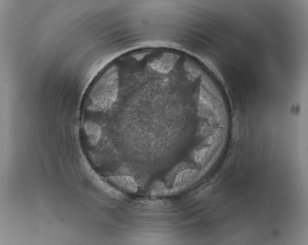 X0000112030895200908241536