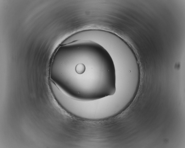 X0000112030896200908241536