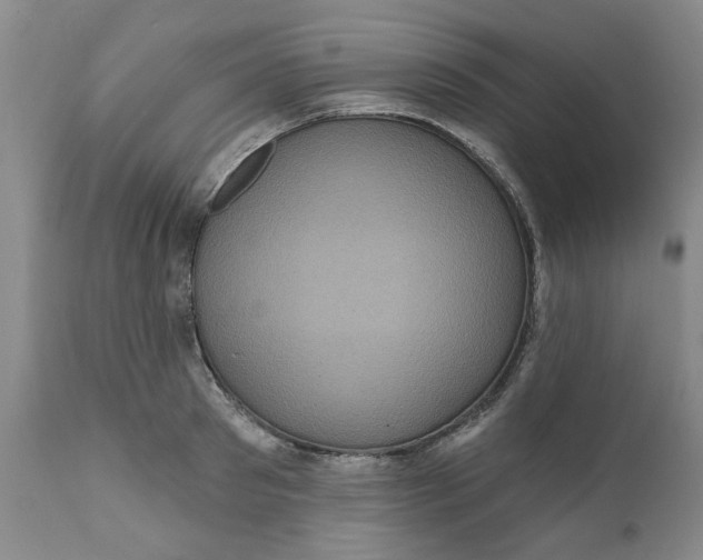 X0000112030897200908241536