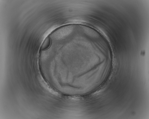 X0000112030899200908241535