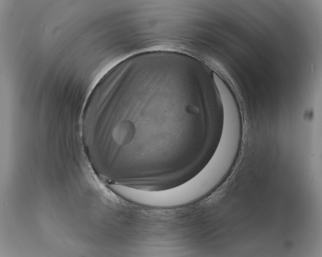 X0000112030900200908241535