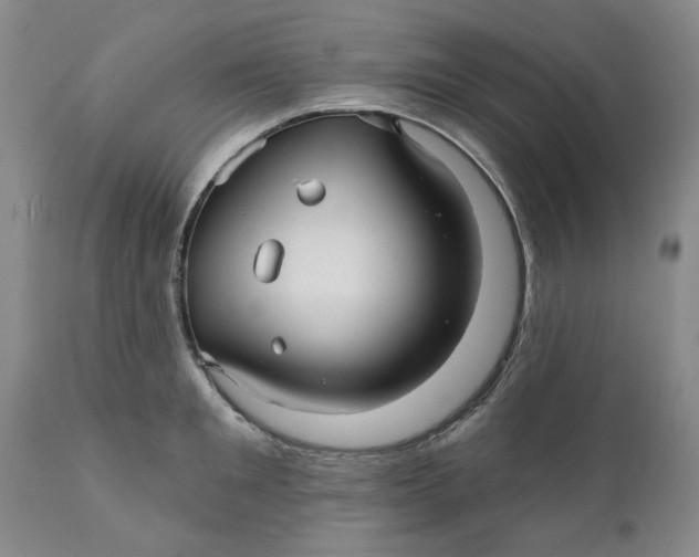 X0000112030901200908241535