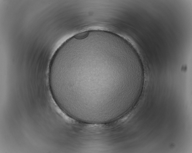 X0000112030902200908241535