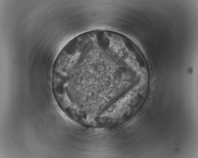 X0000112030903200908241535