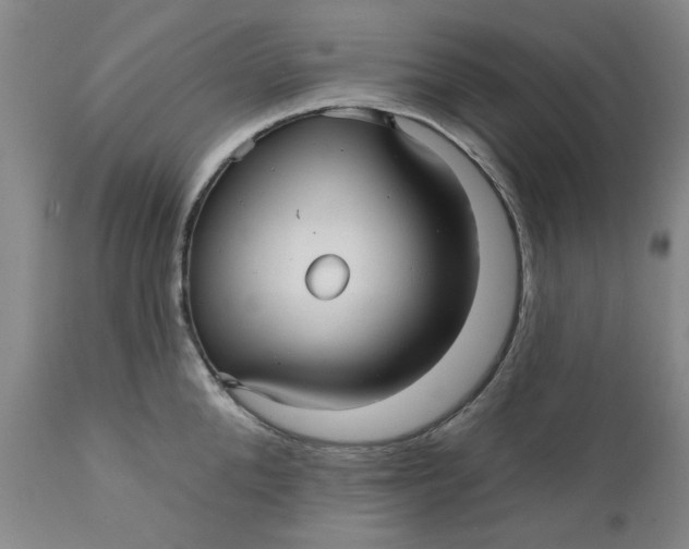 X0000112030904200908241535