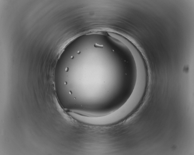 X0000112030905200908241535