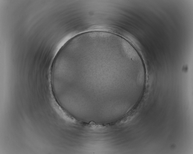 X0000112030907200908241535