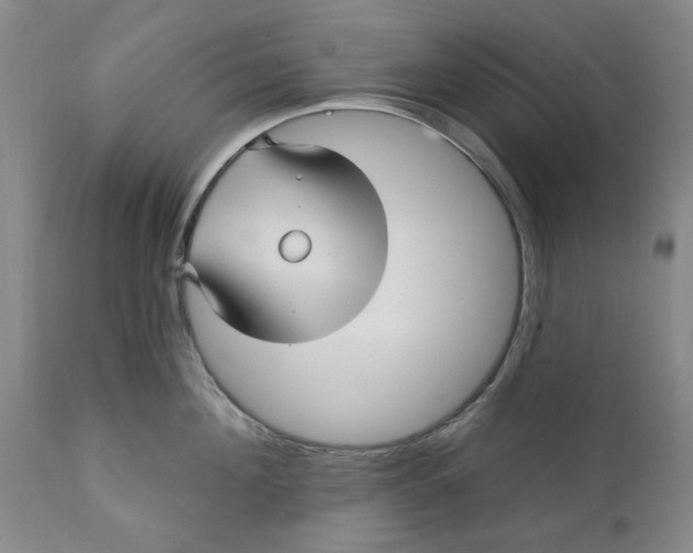 X0000112030908200908241535