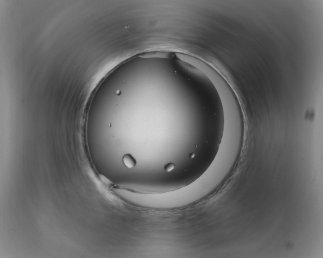 X0000112030909200908241535