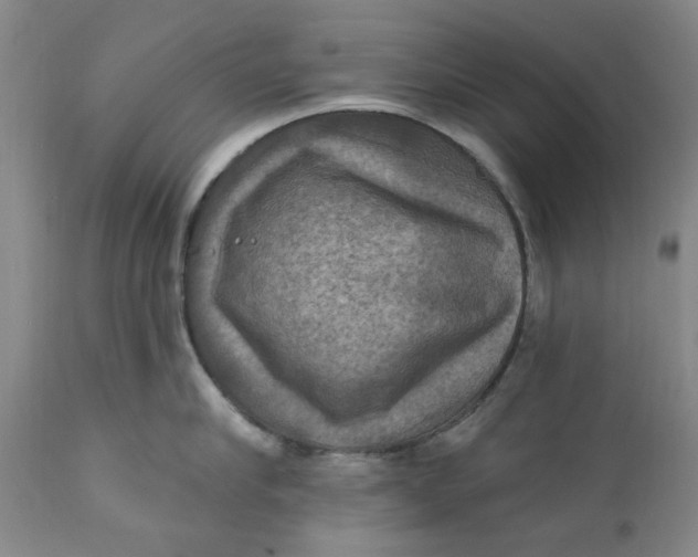 X0000112030910200908241535