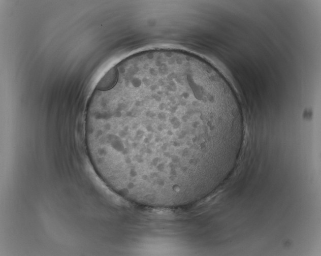 X0000112030911200908241535