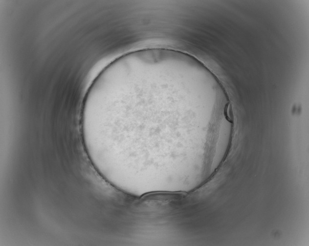 X0000112030912200908241535