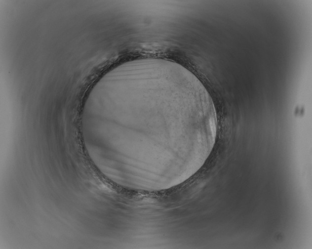 X0000112030913200908241534