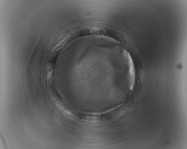 X0000112030914200908241534