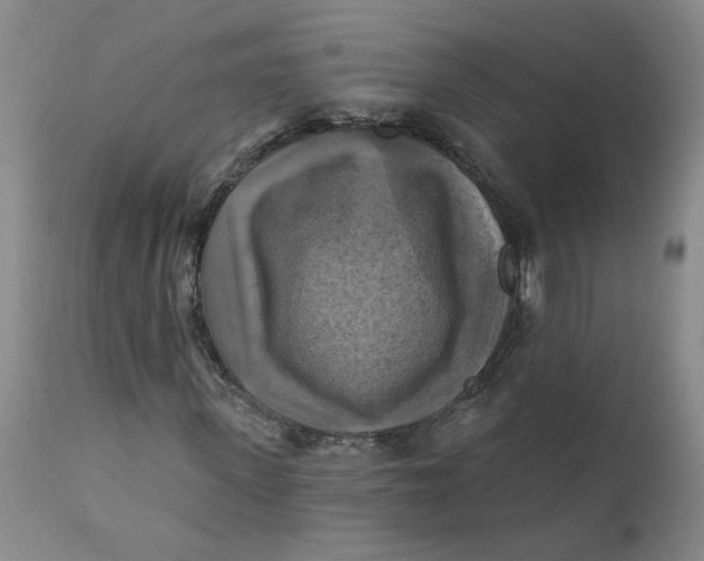 X0000112030915200908241535