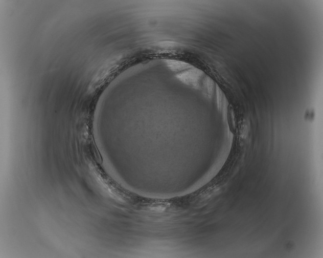 X0000112030916200908241535