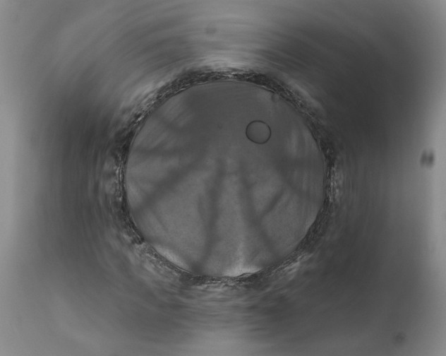 X0000112030917200908241535