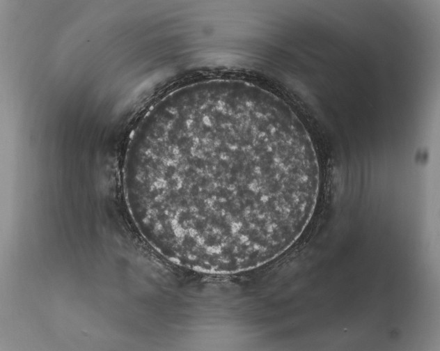 X0000112030918200908241535