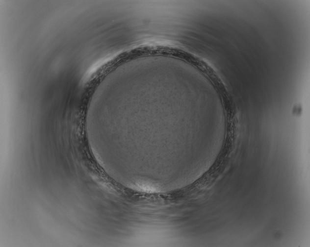 X0000112030919200908241535