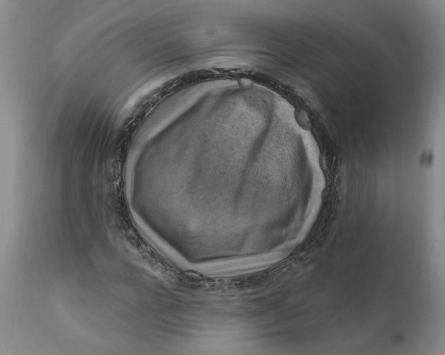 X0000112030920200908241535