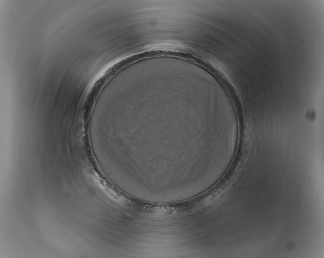 X0000112030923200908241535