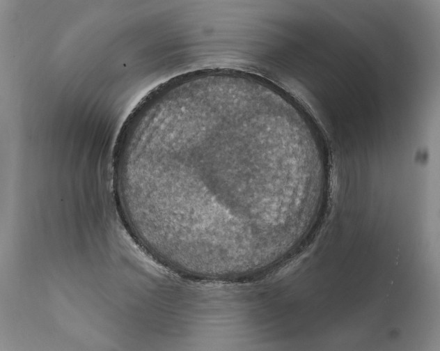 X0000112030924200908241535