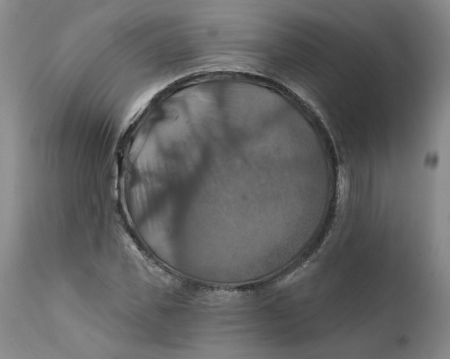 X0000112030925200908241535