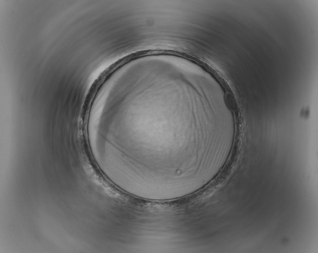 X0000112030928200908241535