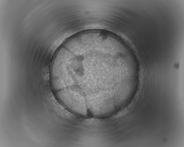 X0000112030929200908241535