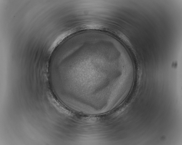 X0000112030930200908241535