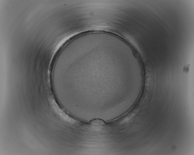 X0000112030932200908241535