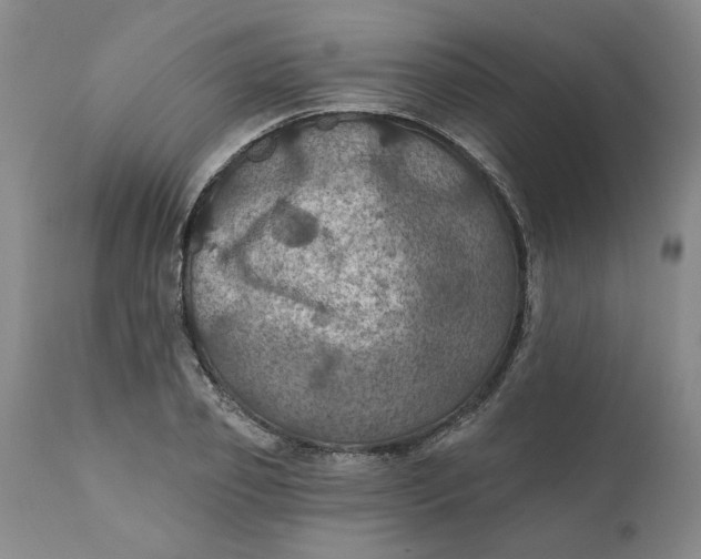 X0000112030933200908241535