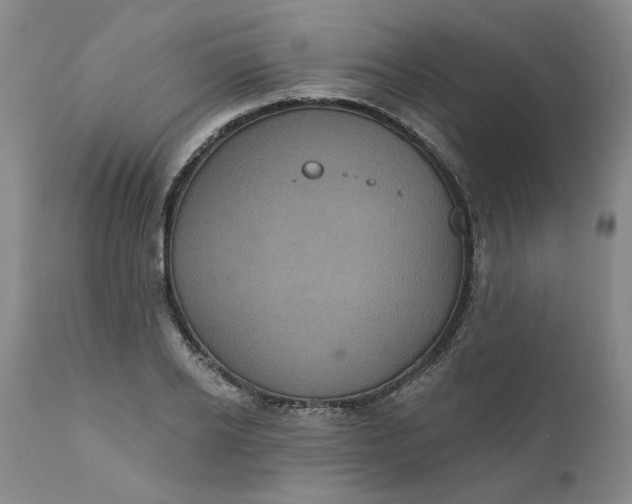 X0000112030934200908241535