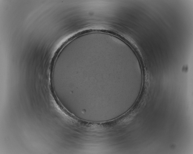 X0000112030935200908241535