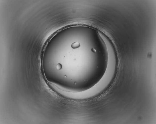 X0000112030936200908241535