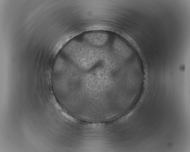 X0000112030937200908241535