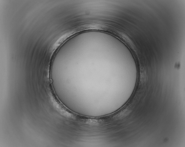 X0000112030938200908241535